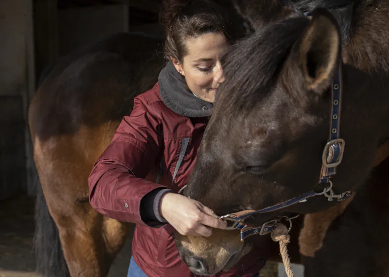 Soin ostéopathique sur un cheval en Normandie
