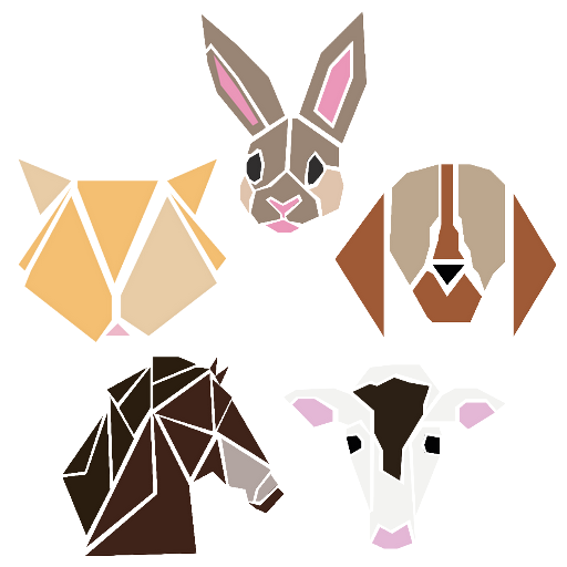 Tarifs de groupe ostéopathie animale Caen écurie