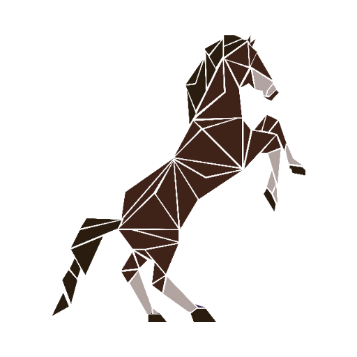 Consultation équine