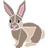 Icône Lapin