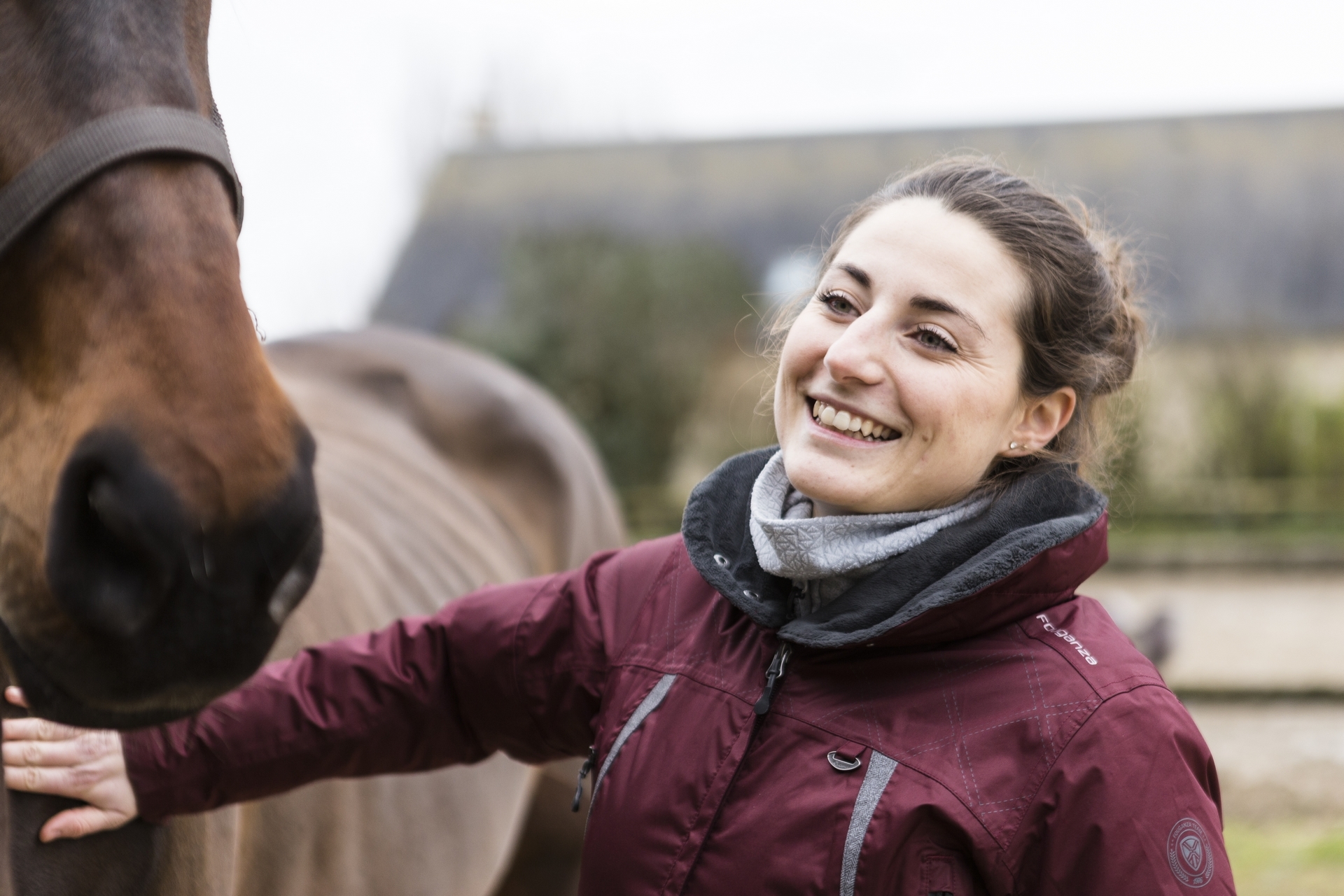 Diplôme ostéopathe animalier Normandie
