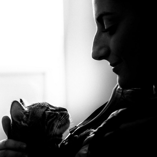 Marine Lelong Ostéopathe animalier en Normandie