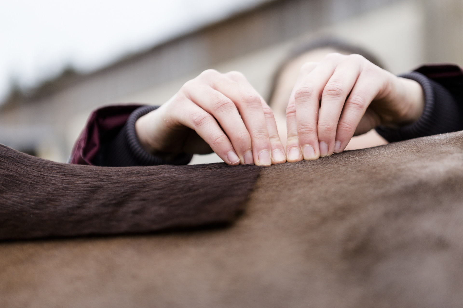 Préparation kinésithérapie bases paramédicales