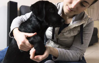 Formation en rééducation canine