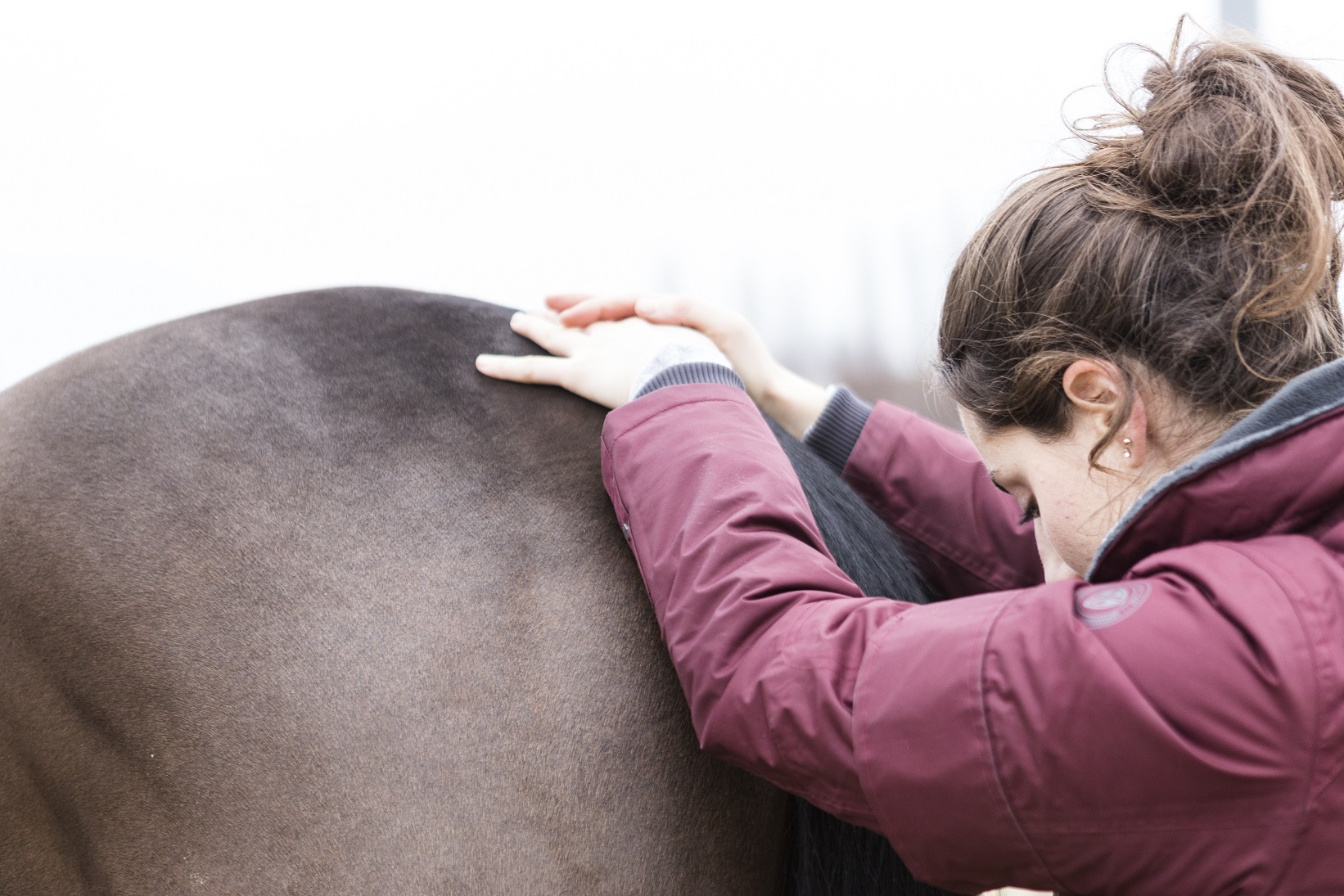 Ostéopathe canin Caen - relâchement myofascial du chien